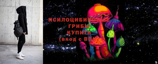 хмурый Горняк