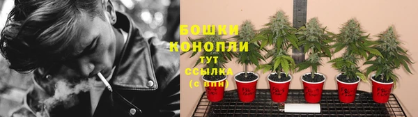 ГАЛЛЮЦИНОГЕННЫЕ ГРИБЫ Наволоки