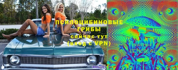 сатива Нефтекумск