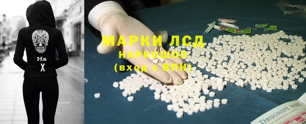 сатива Нефтекумск