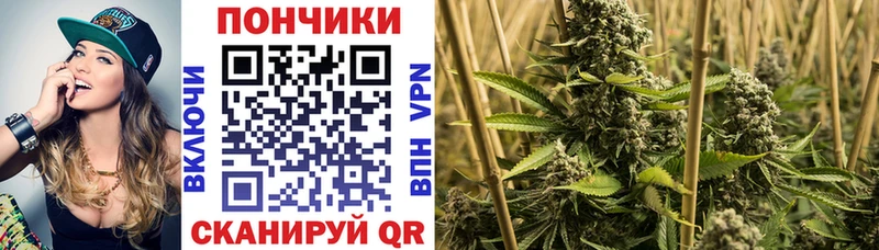купить наркотик  Прохладный  Бошки марихуана MAZAR 